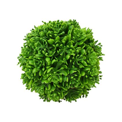 GUĽA MALÁ SUKULENT KVET ZELENÝ 18CM