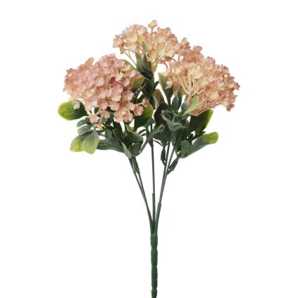 ZELEŇ VIBURNUM RUŽOVÉ 30CM