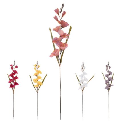 KS GLADIOLA MIX/5F 77CM