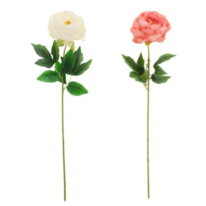 KS PIVONKA, STOPKA MIX/2F 64CM