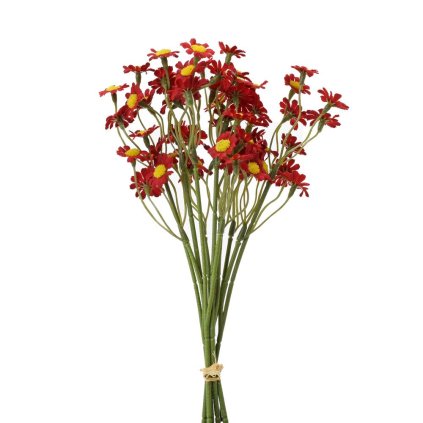 KYTIČKA TANACETUM ČERVENÉ 27CM