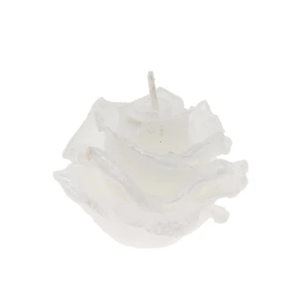 RUŽA ELIZABETH MALÁ BIELA 7x5