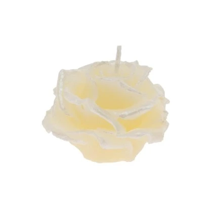 RUŽA ELIZABETH MALÁ KRÉM 7x5