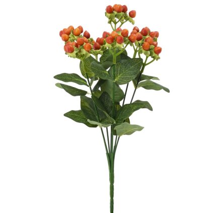 ZELEŇ HYPERICUM ORANŽ.HN. 32CM