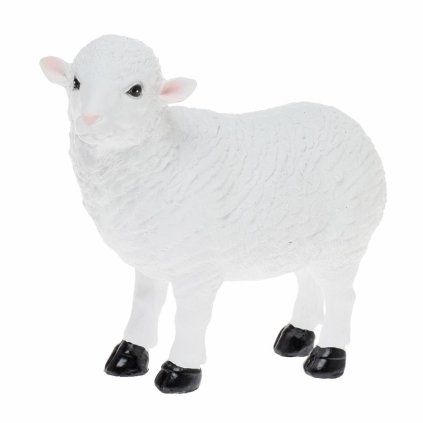 OVCA POLY 17CM BIELA