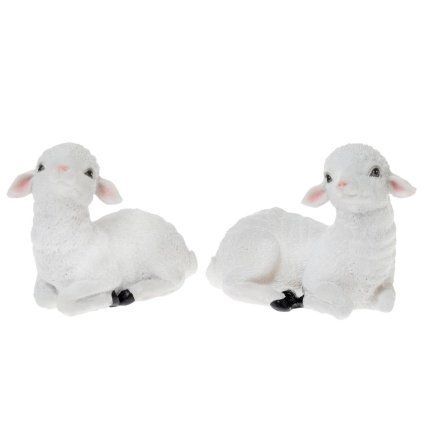 OVCA POLY 15x8x11CM BIELA MIX/2