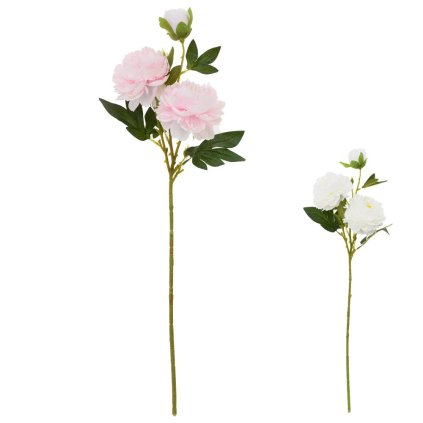 KS PIVÓNIA 70CM MIX/2F