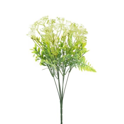 ZELEŇ TRACHELIUM ZELENÉ 35CM