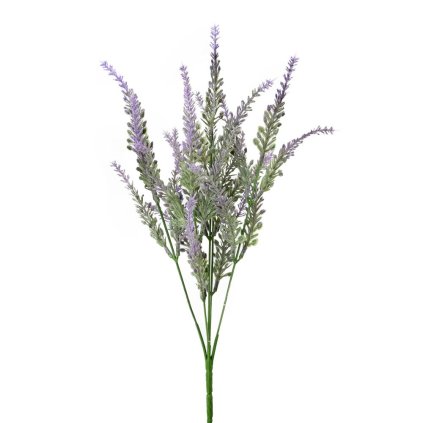 ZELEŇ LEVANDUĽA FIALOVÁ 30CM
