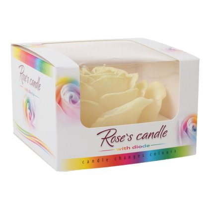 RUŽA NÍZKA DIODA ECRU