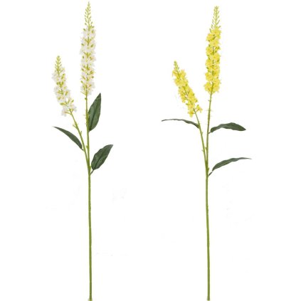 KS DELPHINIUM 73CM MIX/2F