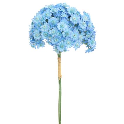 ZVÄZOK ACHILEA MODRÁ 32CM