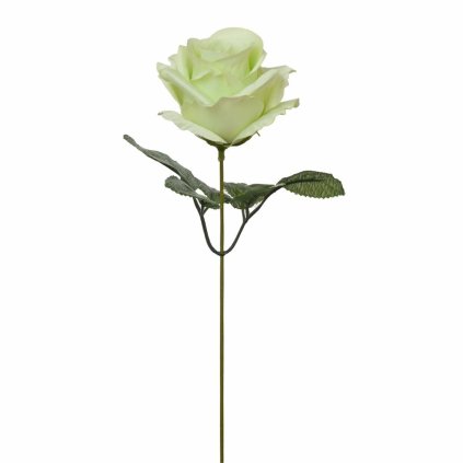KS RUŽA NA STOPKE, ZELENÁ 30CM