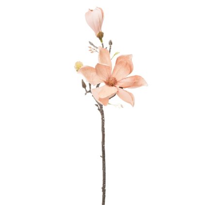 KS MAGNÓLIA BL. HNEDÁ-BROSK. 58CM