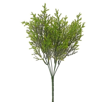 ZELEŇ TUJA ZELENÁ 32CM