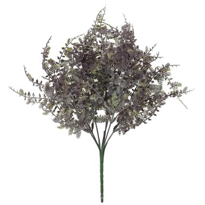 ZELEŇ PAPRAĎ MODRO-SIVÁ 40CM