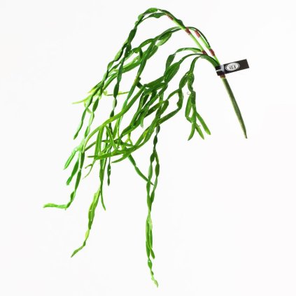 AKCIA! ŤAHAČKA ZELEŇ 75CM