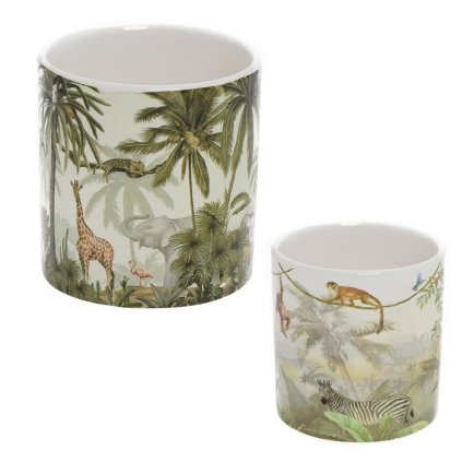 SUPER CENA OBAL SAFARI 9XV11,5CM