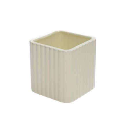 OBAL PÁSY KRÉM 8XV9CM