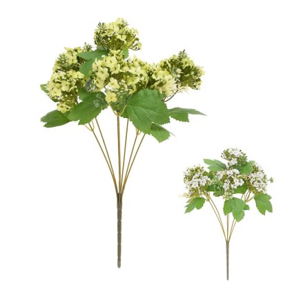 KYTICA KALANCHOE MIX/2F 44CM