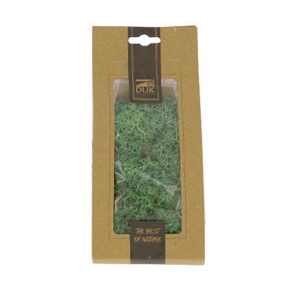 MOSS REINDEER NATURE 40GR 10X4X22CM