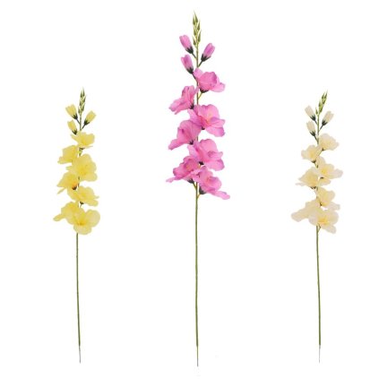 KS GLADIOLA, MIX/3F 69CM