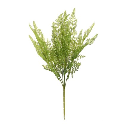 ZELEŇ PAPRAĎ TMAVO ZELENÁ 45CM