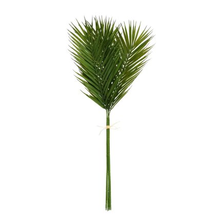 ZELEŇ PHOENIX ZVÄZOK x6 75CM