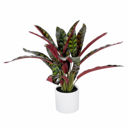 KALATEA V KER. ČREPNÍKU ZEL/FIAL. 58CM