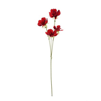 KS COSMOS ČERVENÝ 75CM