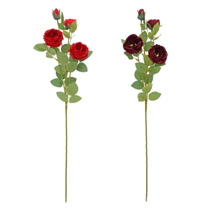 KS RUŽA ŠÍPOVÁ MIX/2F 68CM