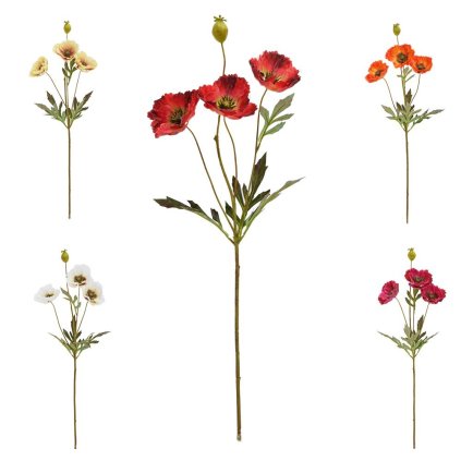 KS PAPAVER MIX/5F 68CM