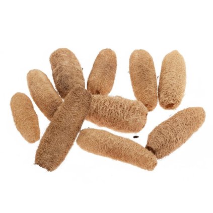 Luffa stredná 10-15cm S/10