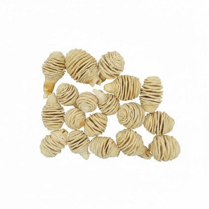 544 Platyspermum bielené 250g