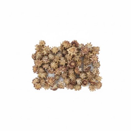 711 Plumosum krém 250g