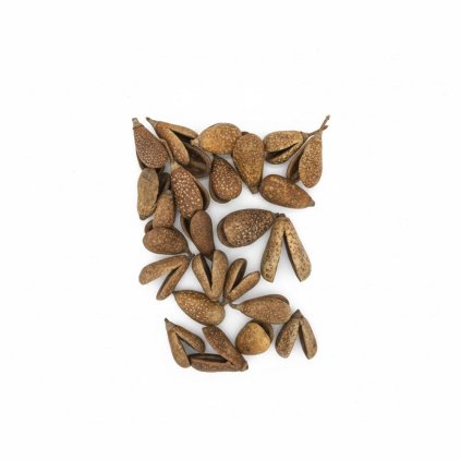 821 Benzo fruit natur 24ks