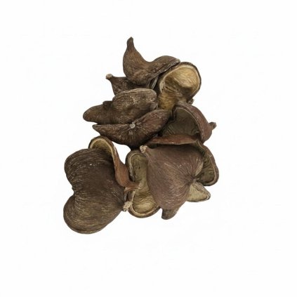 3397 Badam bielený 12ks