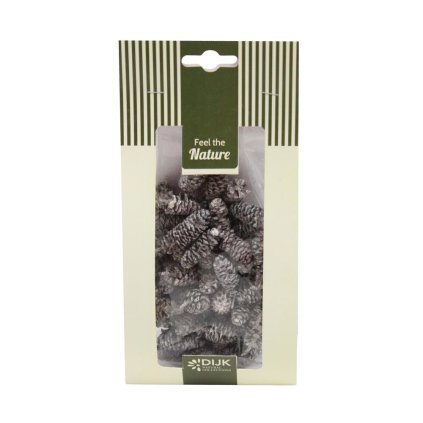 Pinecone birch nature 10x5x22cm 50gr