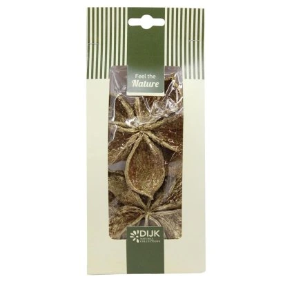 Landlotus nature 10x5x22cm 4pc