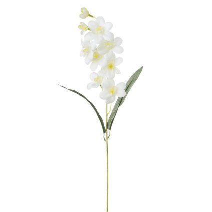 KS ORCHIDEA BIELA 64cm
