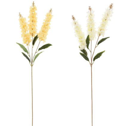 KONÁR  MATIOLA, MIX/2F 87CM