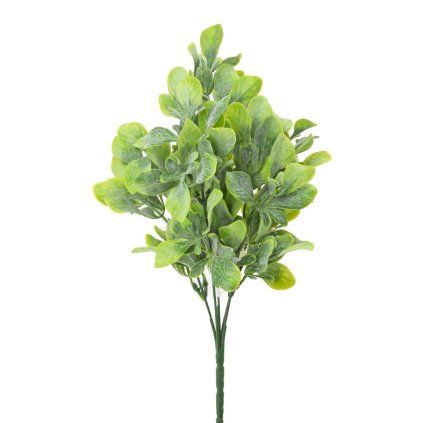 ZELEŇ LÍSTKY ZELENÉ 27CM