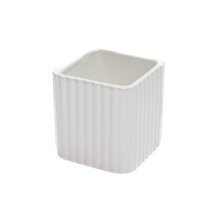 OBAL PÁSY BIELY 6XV7CM