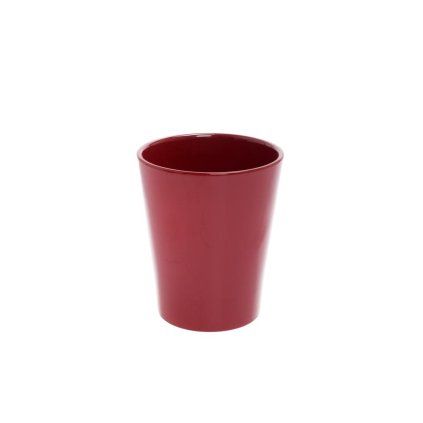 OBAL ORCH.MERINA CANDY BORDEAUX 12CM
