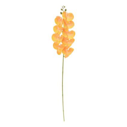 KS ORCHIDEA PHALAENOPSIS ŽLTÁ 100CM