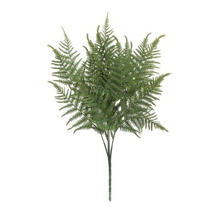 ZELEŇ PAPRAĎ ZELENÁ 40CM