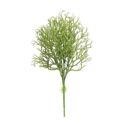 ZELEŇ KORÁL ZELENÝ 40CM