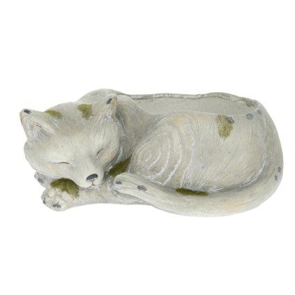 MAČKA OBAL MGO 34,5x23x14CM SIVÁ