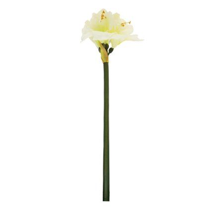 AMARYLIS 83CM BIELY