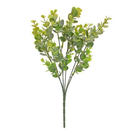 ZÁPICH EUCALYPTUS BLEDO-ZELENÝ 33CM